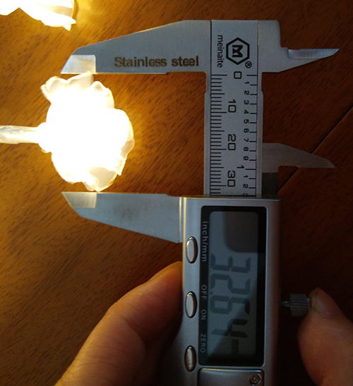 ROSE SIZE.jpg