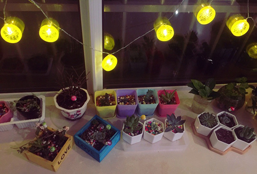 1503036772737118.jpg lemon slice led fairy string lighting 3.jpg