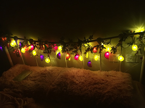 1503038652984793.jpg lemon slice and watermelon led string 1.jpg