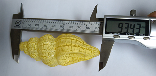 1508462018748323.jpg seashell length.jpg
