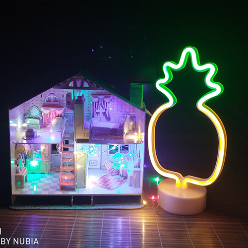 pineapple neon light 4.jpg