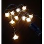 PE transparent rose led string