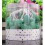 Green cactus led fairy string