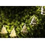 Steel christmas tree led fairy string