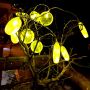 Lemon slice led fairy string
