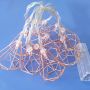Rose gold metal lantern led fairy string