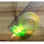 Pineapple led fairy string