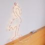 Flamingo led shelf wall decorative light  lighting clothes shelf