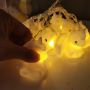Alicorn led fairy lights battery string lights