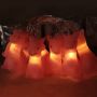 Alpaca led fairy lights battery string lights