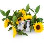 Sunflower led fairy lights