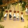 Wishing bottle led string lights