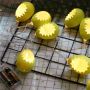 Hatching eggs led string lights Easter decoration
