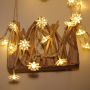 lotus string light