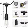 S14 T shape led festoon light