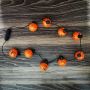 Pumpkin necklace string light