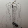 solar cluster firework garden spike light