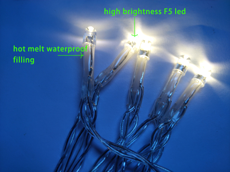 F5 bulb and filling.jpg