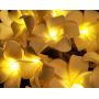 Frangipani  battery powered led string