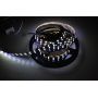 RGB+W SMD5050 led strip 120LED/M