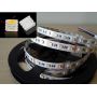SMD5050 RGBW led strip 60LED/M