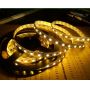 SMD5050 RGBW led strip 60LED/M