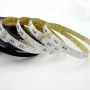 SMD5050 RGBW WW 5 in 1 led strip 60LED/M