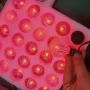 Bubble bulb led festoon light