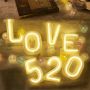 Led neon letter lights neon sign