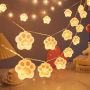 Kitty paw led string lights