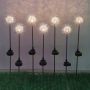 Solar dandelion garden spike lights