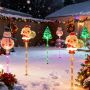 Solar Christmas parthway lights