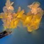 Fiber optic led string lights