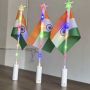 LED handheld national flag wand